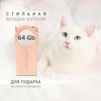 Флеш-накопитель USB 2.0 Smartbuy 64GB MC5 Kitty (SB064GBMC5), розовый