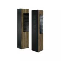 АС напольная Piega Master Line Source 2 Baffle anodised black / Zebrano пар