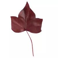 Лист Плюща "Ivy Hedera Red" (15-25)