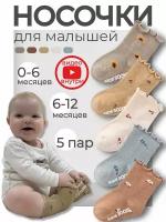 Носки для малышей Baby Stori 6-12 месяцев 5 пар