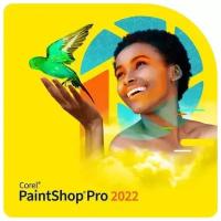 Corel PaintShop Pro 2022 Corporate Edition License Single User (LCPSP2022ML0)