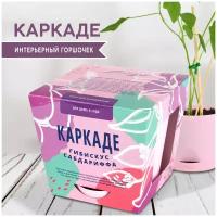 Набор для выращивания растений Каркаде (гибискус сабдариффа) Тысяча листьев