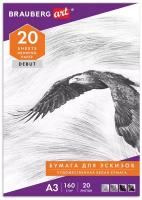 Папка для рисования большого формата А3, 20 л., 160 г/м2, BRAUBERG, 297х420 мм, "Орел", 125228