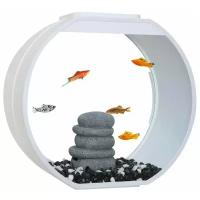 Аквариум для рыб AA-Aquariums Deco O UPG, белый, 20 л, 395*187*375 мм