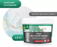 Грунт по старой краске PROSEPT, 2.5 кг