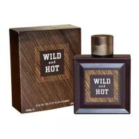 Delta Parfum Wild and Hot туалетная вода 100 мл для мужчин