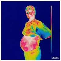 Хип-хоп Sony Brockhampton, Iridescence (Crystal Clear Vinyl/Gatefold)