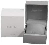 Наручные часы Calvin Klein Accent K2Y2Y6KW