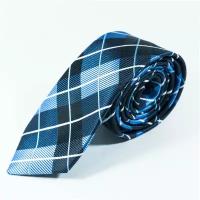 Thierry галстук синий в полоску NT13