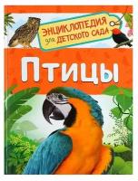 Энциклопедия для детского сада «Птицы», Гальцева С. Н