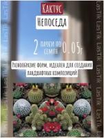 Цветы Кактус Непоседа, смесь 2 пакета по 0,05г семян