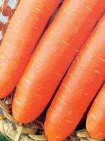 Коллекционные семена моркови Нарбонне F1