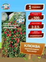 Клюква "Седек" Красавица крупноплодная 0,05г