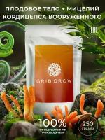 Кордицепс вооруженный плодовое тело + мицелий Grib Grow - 250 грамм