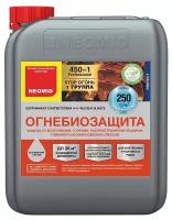 Neomid 450-1 (1 группа огнезащиты) Огнебиозащитный состав для внутренних и наружных работ (бесцветный, 5 л)