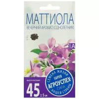 Семена цветов Маттиола Вечерний Аромат, О, 0,5г