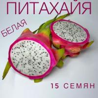 Питахайя (драконий фрукт) семена 15 шт