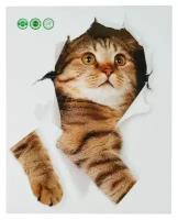 Наклейка 3Д интерьерная Кошка 25*20см