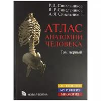 Атлас анатомии человека. Том 1. Учение о костях, соединениях костей и мышцах. Синельников