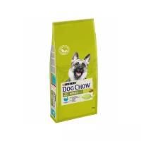 Dog Chow Adult Large Breed сухой корм для собак крупных пород с индейкой, 14 кг