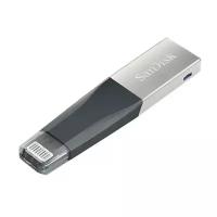 Флеш-накопитель для Apple SanDisk iXpand Mini flash drive 256GB