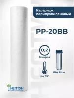 Картридж из вспененного полипропилена PP-20BB 0,2 мкм (ЭФГ 112/508,ПП-20ББ) фильтр полипропиленовый грубой очистки, механика для Гейзер,Барьер,Аквафор