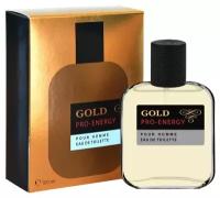 TODAY PARFUM (Delta parfum) Туалетная вода мужская PRO-ENERGY GOLD