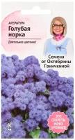 Агератум Голубая норка 0,1 г, семена однолетних цветов для сада дачи и дома, однолетние цветы для балкона для горшков