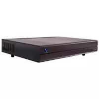 Усилитель мощности моно PS Audio Stellar M700 Mono Amplifier, black