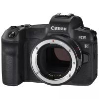 Беззеркальный фотоаппарат Canon EOS R Body