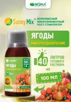 Удобрение Sunny Mix Ягоды