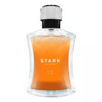 Dilis Parfum туалетная вода Stark Power, 100 мл