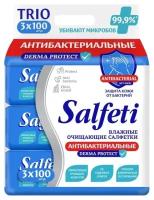 Салфетки влажные Salfeti Antibacterial Derma Protect TRIO очищающие, антибактериальные,с клапаном, 3 уп. по 100 шт