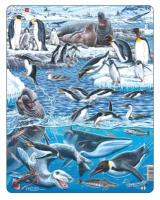 Пазл Larsen FH48 Животный мир Антарктики 66 деталей