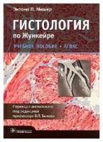 Мешер Э.Л.; Пер. с англ.; Под ред. В.Л. Быкова "Гистология по Жункейре. Учебное пособие. Атлас"