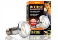 Лампа Exo Terra Reptile Intense basking spot 75 Вт 63mm /для естественной терморегуляции тела у рептилий/