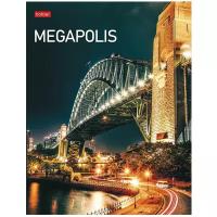 Тетрадь на 4-х кольцах А5 240л кл Megapolis тв обл гл ламин 240ТК5В1_23148 7754284