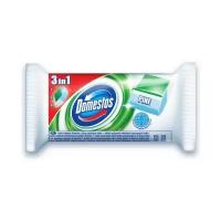 Domestos сменный блок для унитаза 3в1 Хвоя