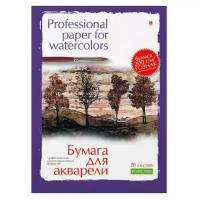 Папка для рисования акварелью А3,20л,блок гознак 200гр 4-020 дизайн в ассор