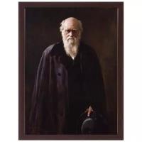 Портрет Дарвина Чарльза, в рамке, печать на холсте 21х30 см