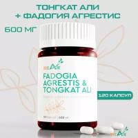 Фадогия Агрестис + Тонгкат Али. Природный бустер тестостерона