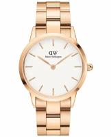 Наручные часы Daniel Wellington Iconic Link, золотой