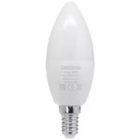 GEOZON RG-02 Умная LED лампа/E14/C37/4.5W/Wi-Fi/AC 220-250В, 50/60Гц/350lm/white GSH-SLR02