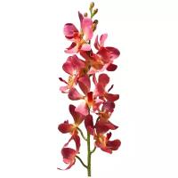 Искусственный цветок Орхидея Дендробиум Gerard de ros