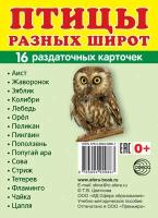 Демонстрационные картинки супер. Птицы разных широт. 16 раздаточных карточек с текстом