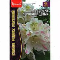 Азалия / Рододендрон Короткоплодный, зимостойкий кустарник, для сада и дома( 1 уп: 20 семян )