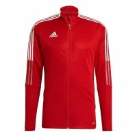 Олимпийка adidas Tiro 21 GM7308 размер S