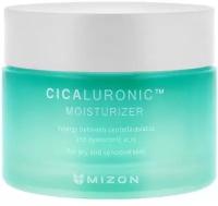 Увлажняющий крем с cica-комплексом для лица Mizon Cicaluronic Moisturizer (50 мл)