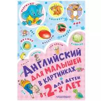 "Английский для малышей в картинках"Чукавина И. А, Гордиенко Н. И, Гордиенко С. А, Лемко Д. М