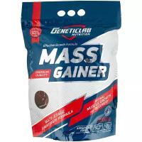 гейнер для набора массы MASS GAINER со вкусом Шоколад 3000 грамм (30 порций)